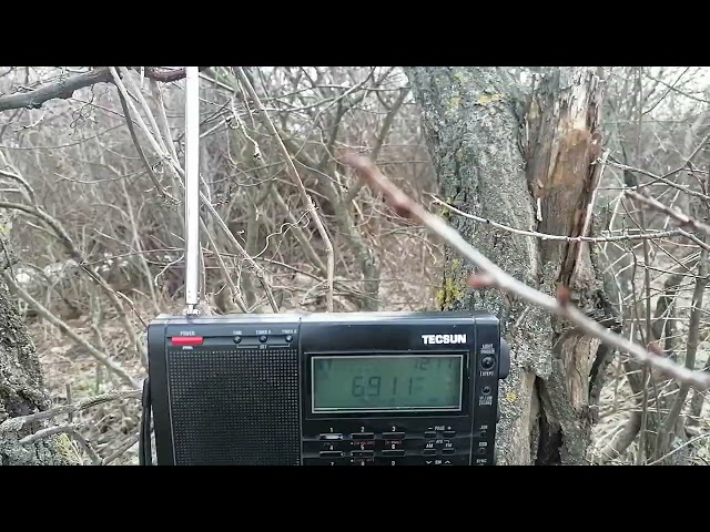 6911 kHz Unknown Siren Signal