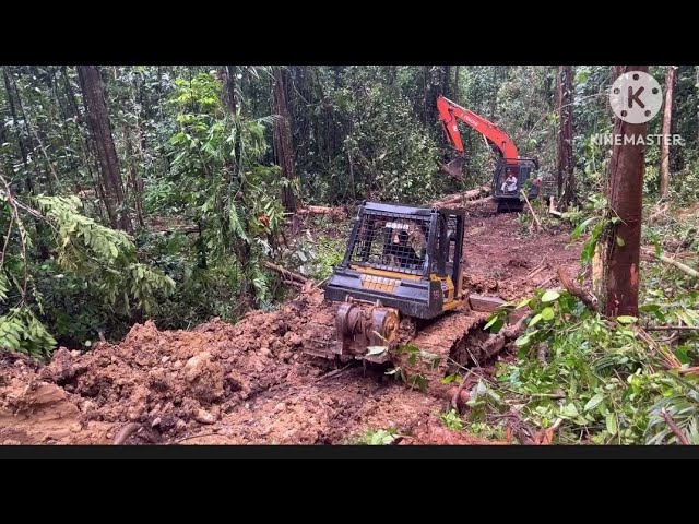 The highest risk work Excavator Hitachi and Bulldozer D68ess pulling logs