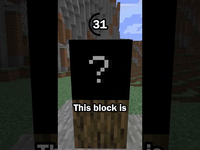 Guess the Minecraft block in 60 seconds 25