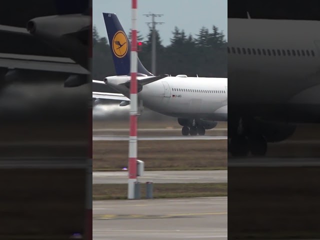 Lufthansa Airbus A330 D-AIKS after animal strike back in service