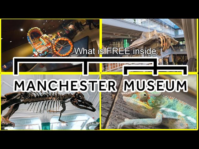 MANCHESTER MUSEUM | UK | FREE ENTRY | WHAT IS INSIDE?