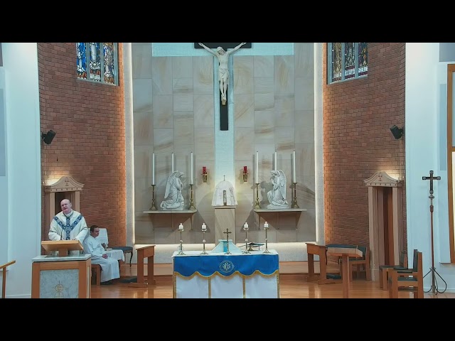 Homily of Fr James McCarthy on 24 September, 2022 - Blessed Virgin Mary - Cause of our Joy