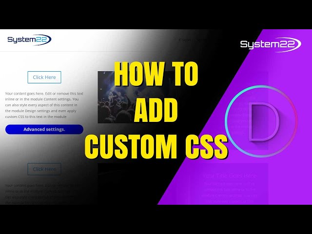 How to Add CUSTOM CSS to Divi Theme