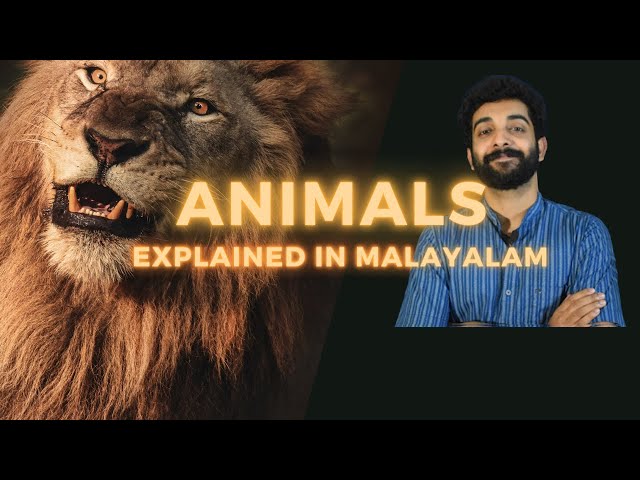 Animals | Explained in Malayalam