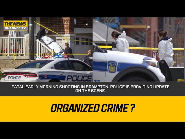 Fatal early morning shooting in Brampton. Police is providing update on the scene.