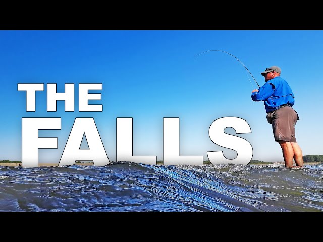 Drum and Long Nose Gar! | Falls of the Ohio