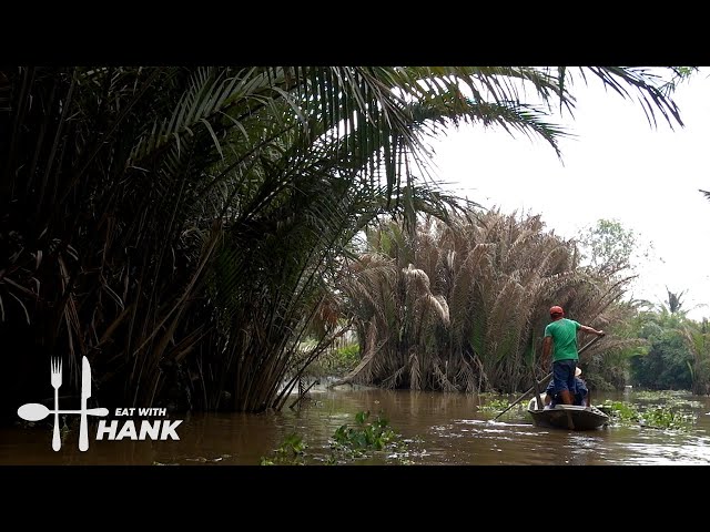 1 Day Mekong Delta River Tour in Vietnam
