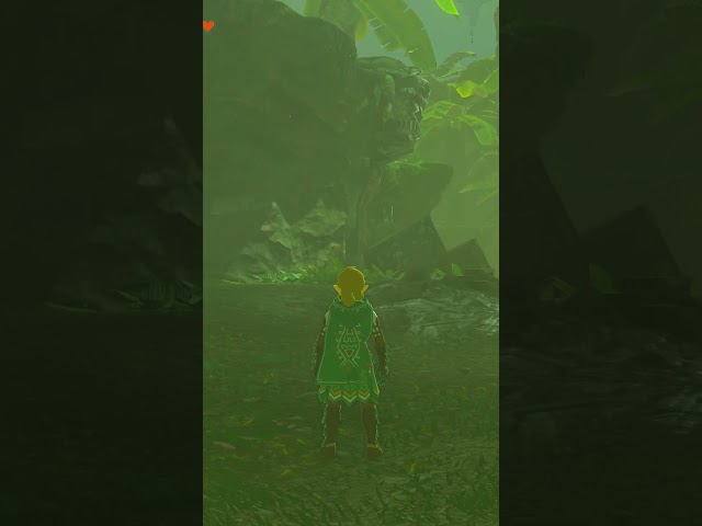 Did you know about this SECRET Spot in Tears of the Kingdom?