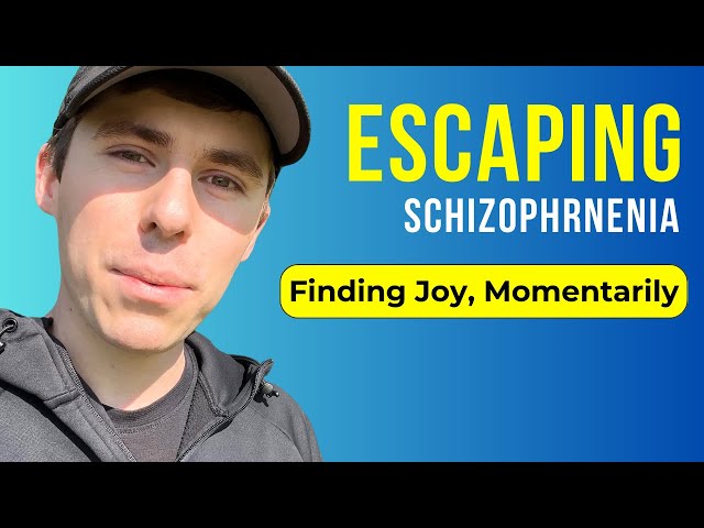 Escaping Schizophrenia - Insights, Nostalgia, and Pokémon
