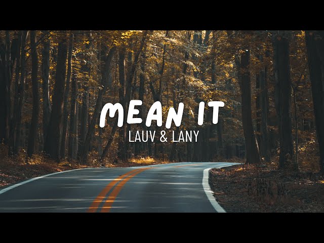 LAUV AND LANY: MEAN IT // Lyrics with Guitar Chords