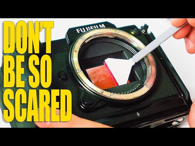 You’ve Never Cleaned Your Dirty CAMERA SENSOR?!?