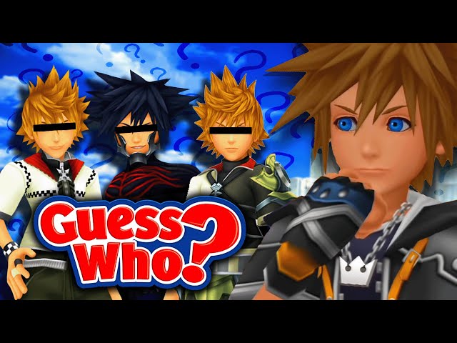 Can you guess the Kingdom Hearts character? (Guess Who)