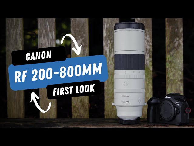 Canon RF 200-800mm F6.3-9 IS USM | Canon's lightweight and affordable super telephoto lens
