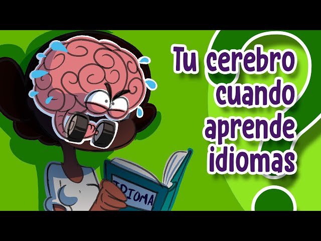 What happens in your BRAIN when you learn LANGUAGES?