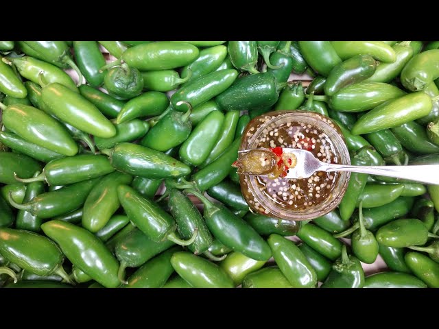 Cooking the Harvest: Cowboy Candy aka Candied Jalapenos