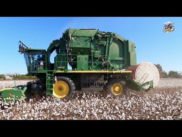 Harvesting Cotton in Southwest Oklahoma