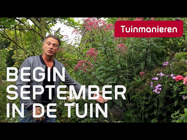 Wat doe je begin september in de tuin? | Onderhoud | Tuinmanieren