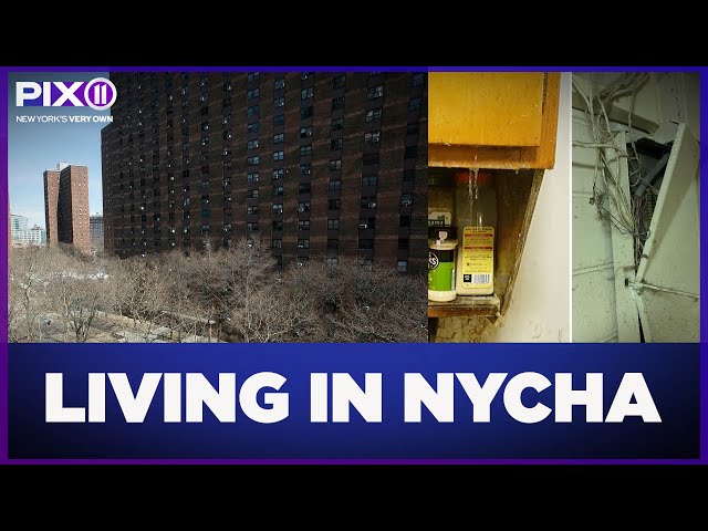 Living in NYCHA: three tenants share their experiences
