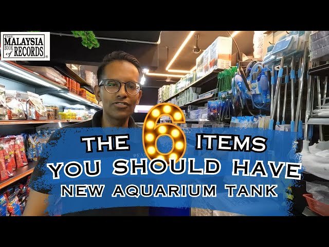 6 items you should have for your new Aquarium Tank
