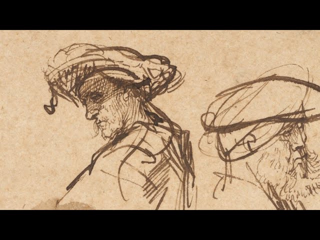 How did Rembrandt use the reed pen in his drawings?