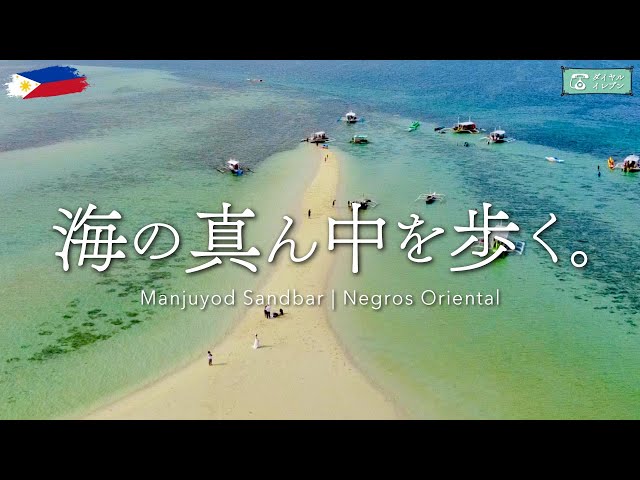 [Travel to the Philippines] Walking on Manjuyod Sandbar | Negros Oriental