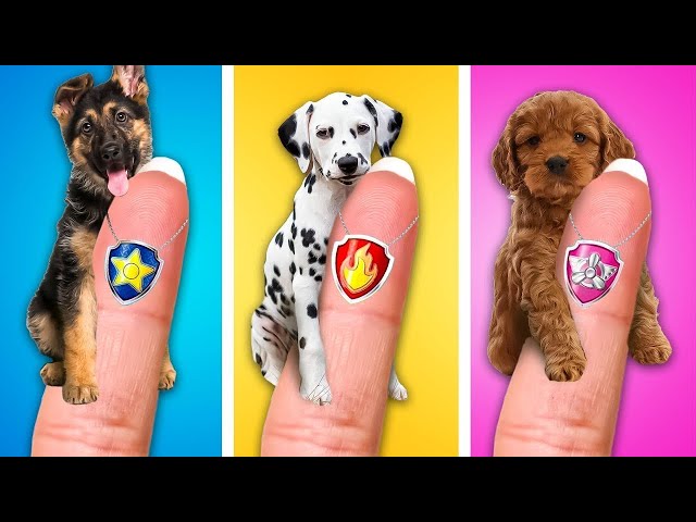 We Saved a Little Puppy 🥺Saving Pets And Crafting Amazing Rooms by Kaboom!