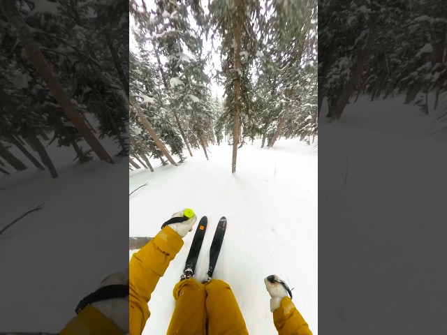 that last tree almost got me!! #ski #skiing #parkcity