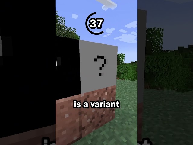 Guess the Minecraft block in 60 seconds 8