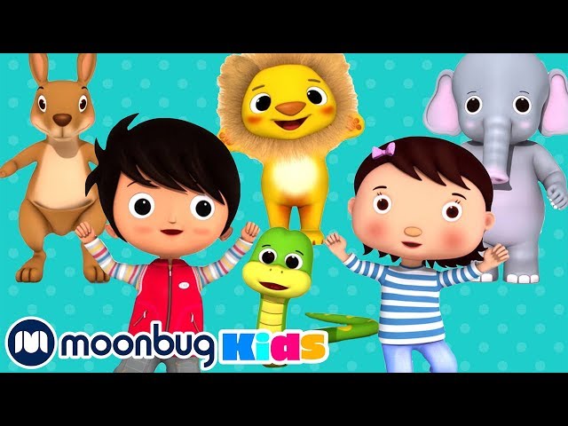 Zoo And Animals Songs |  Nursery Rhymes | Baby Songs | Kids Cartoons | #Morphle | #LBB