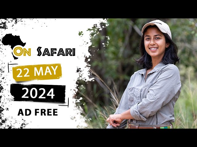 On Safari - 22 May 2024 - AD FREE