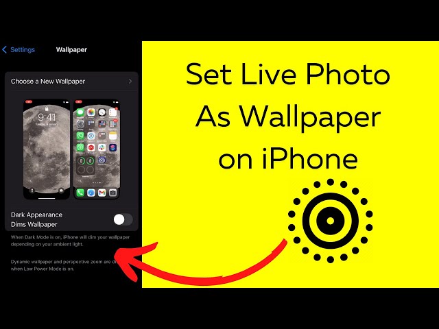 How to Set Live Photo as Wallpaper on iPhone