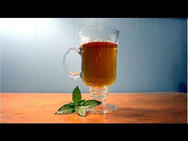 Wild Food Foraging- Peppermint Tea and Iced Tea- Energy Boost!