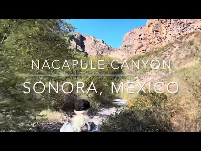 Hiking Nacapule Canyon, Sonora Mexico