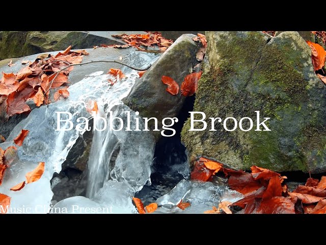 Babbling Brook | 舒緩放松的音樂+動人美麗的風景 自然的流水聲 放松身心 睡眠音樂 學習音樂 純音樂 Relaxing Soothing Music
