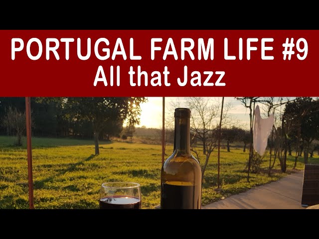 WATER on the FARM | Portugal Farm Life 2-09