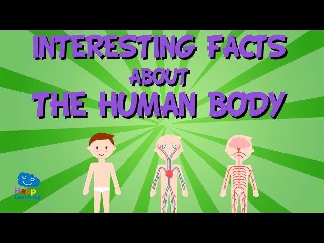 Interesting facts about The Human Body | Educational Video for Kids.