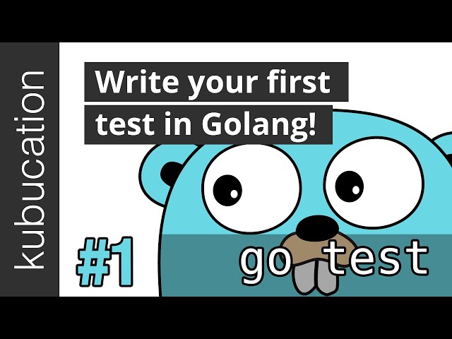 Test Setup & Write your first test in Golang | Go Tests #1