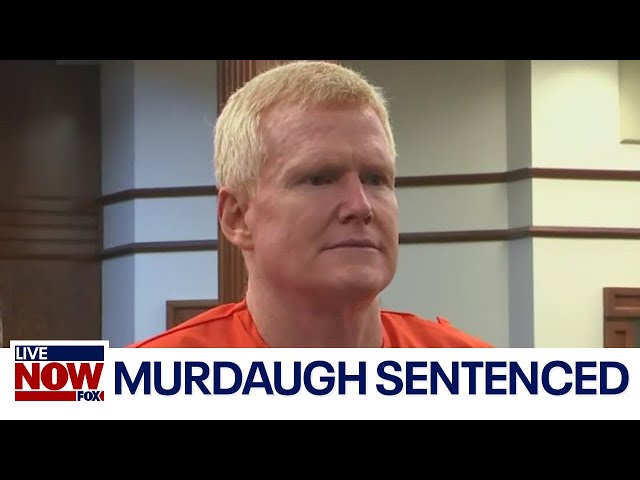 Alex Murdaugh pleads guilty to stealing millions from clients | LiveNOW from FOX