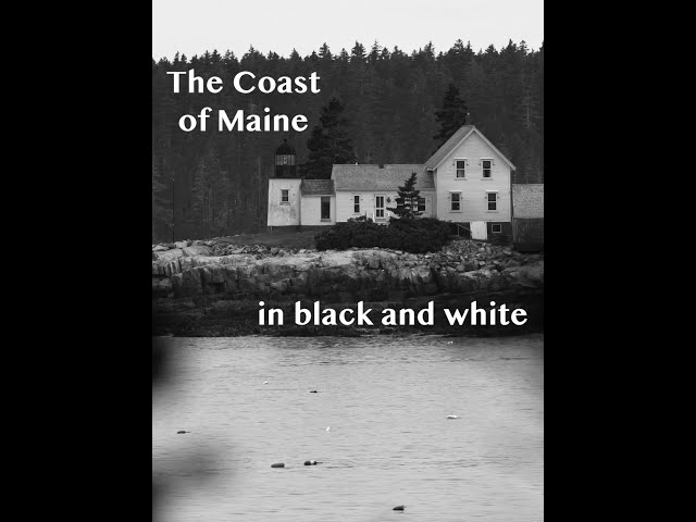 The coast of Maine in black and white (Schoodic Peninsula) #shorts