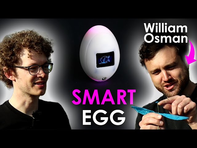 Egg Drop Revolution: The Smartest Egg Ever!