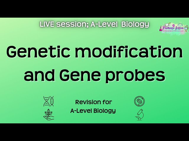 Genetic modification and Gene probes - A-Level Biology | Live Revision Session