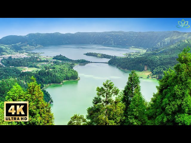4K Video Unbelievable Beauty - Spring Morning with Relaxing Music - Positive Piano Music