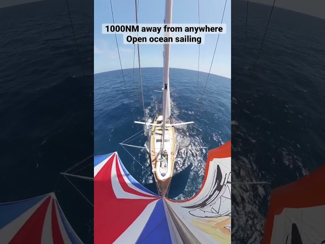 💨⛵️ Day 8 on the Open Ocean 🌊 #travel #boat #ocean #oceansailing #gosailing #sailingadventure l