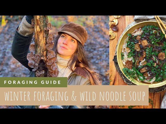 Foraging in Winter | Wild Noodle Soup With Medicinal Mushrooms