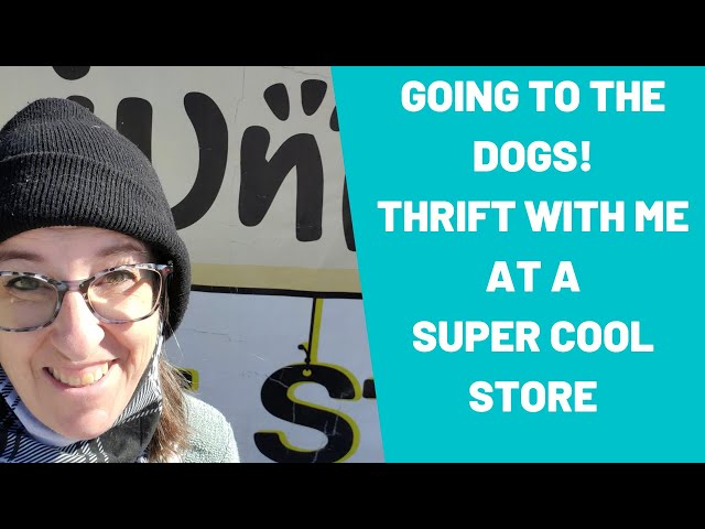 Going to the Dogs Thrift With Me at a Super Cool Store