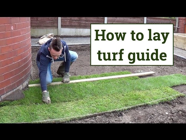 How to lay turf - ultimate lawn fitting guide