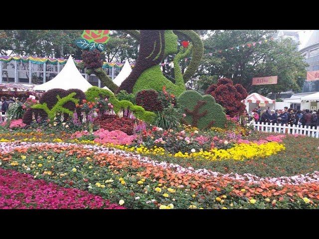 Different kinds of flowers and designs (Hongkong)