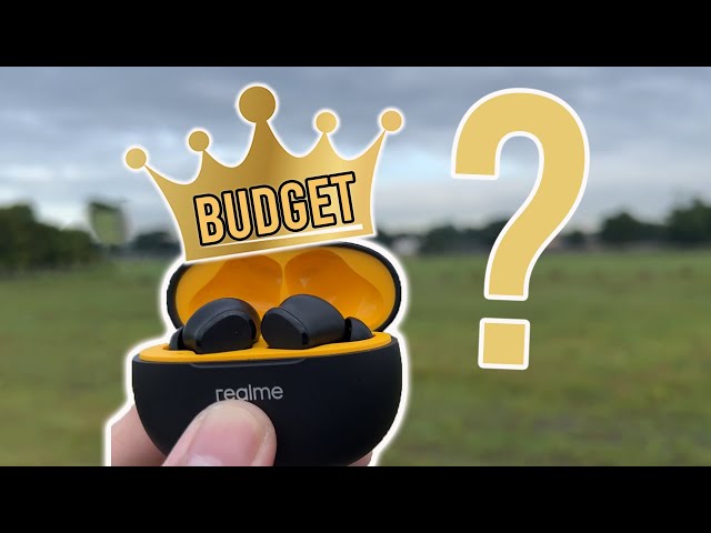 BEST BUDGET TWS Earbuds?  | Realme T100 Earbuds Review