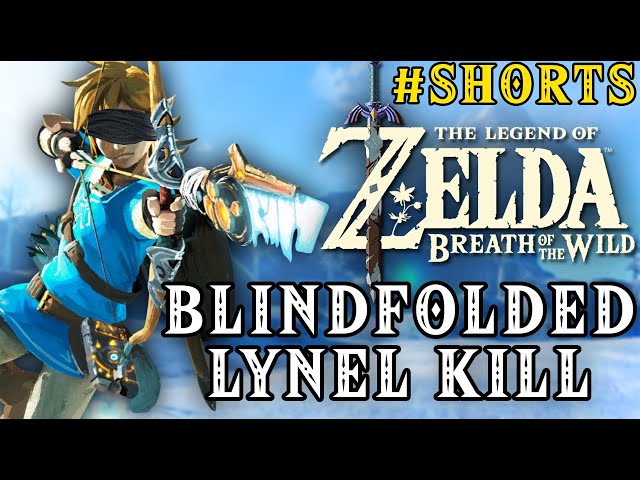 Zelda Breath of the Wild - Blindfolded Lynel Kill