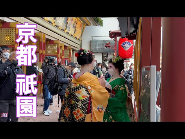 京都祇園 祇園甲部の舞妓（Maiko）さんの「花街総見」 2022/12 【4K】